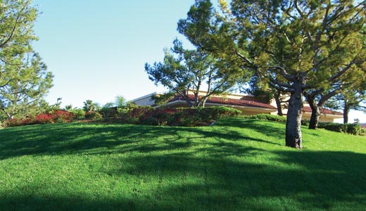 A beautiful view of greenary landscaape with a few trees at Del Mar Highlands