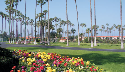 A beautiful flower bed with a distant view of palm trees and a pathway