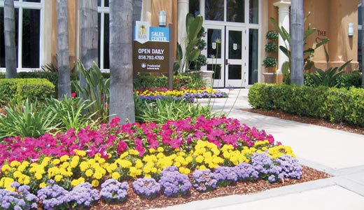 A row of of 3 different colored flowers in front of a commercial offices