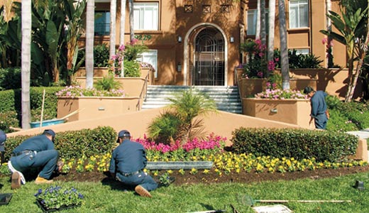 A team of people working on a flowerbed in front of a building as part of landscape management